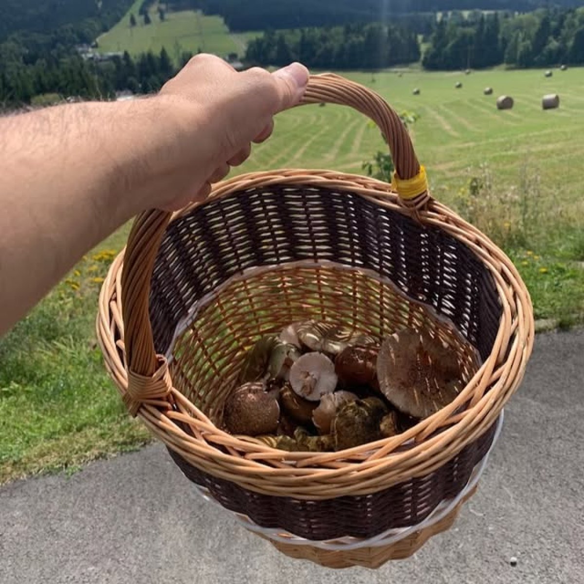 🍄✨ Houbařská sezóna je v plném proudu! ✨🍄

Léto pomalu končí, ale lesy na Ramzové teď doslova ožívají! 🌲 Košíky se plní hřiby, liškami i kozáky – stačí si vzít jen pevné boty a vyrazit.

A po dni plném vůně lesa a houbaření? Čeká vás pohodlí Apartmánu Stratos. 🏡

👉 A aby toho nebylo málo – pobyt si můžete zpestřit unikátní únikovou hrou přímo v apartmánu! Vyzkoušejte svou bystrost a užijte si zábavu s rodinou nebo přáteli. 🎲🔐

📅 Rezervujte si svůj termín a spojte odpočinek, houbaření a dobrodružství v jednom!

📍 Ramzová – vaše místo pro relax i zábavu.