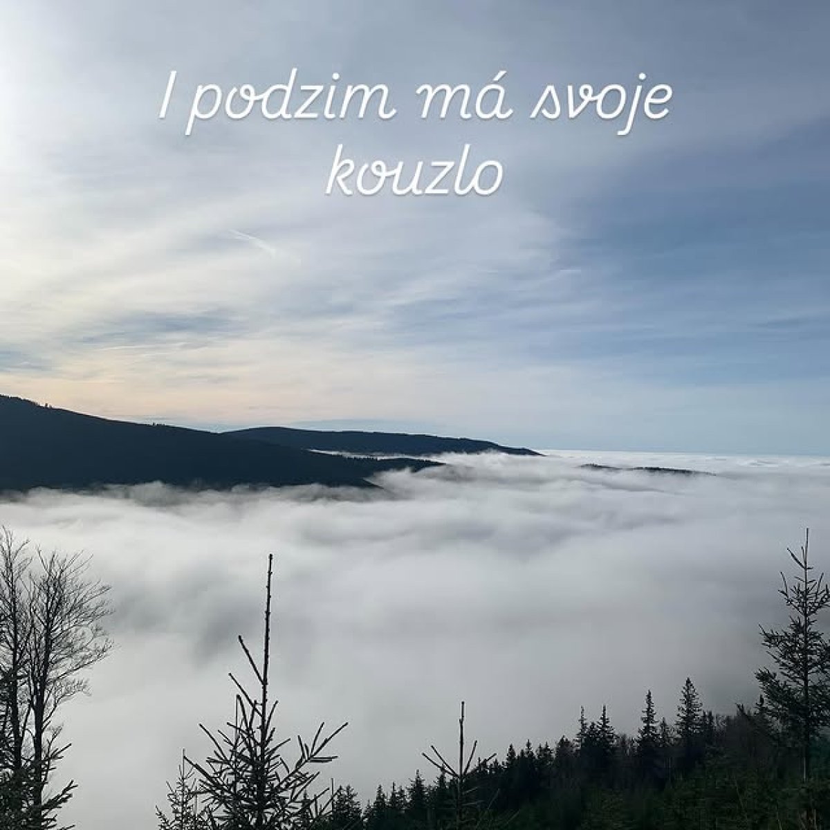 Instagram photo